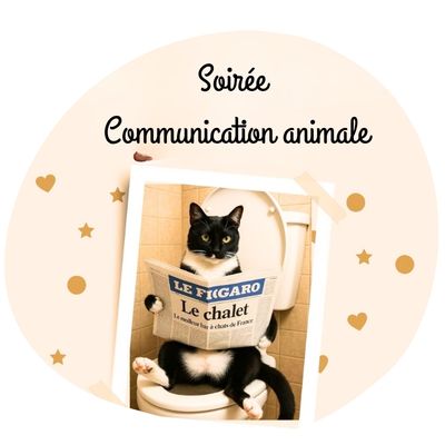 soirée communication animale